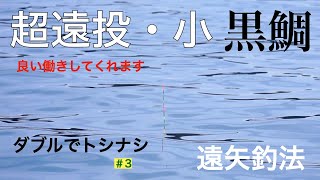 遠矢釣法でトシナシ狙うよぉ〜！