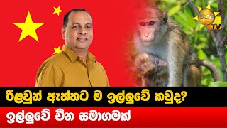 රිළවුන් ඇත්තට ම ඉල්ලුවේ කවුද? - ඉල්ලුවේ චීන සමාගමක් - අමරවීර - Hiru News