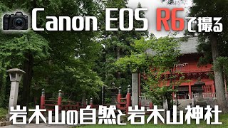 【VLOG】岩木山 麓の林と岩木山神社 EOR R6で撮影~青森・津軽~