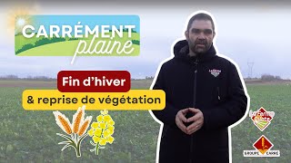 CARREMENT PLAINE : Sortie d'hiver et reprise de végétation