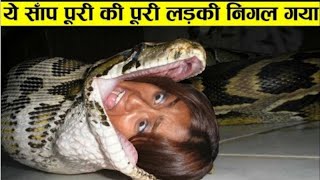 Things Found Inside Giant Snakes साँप के पेट में मिली सबसे चौंकानेवाली चीजें| In Facts Official