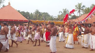 മാരിക്കളത്തിലേക്ക്... 🙏 കളത്തിലരിയിടൽ ചടങ്ങ് 🙏 #theyyamkerala #theyyam #temple #malabar