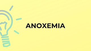 What is the meaning of the word ANOXEMIA?