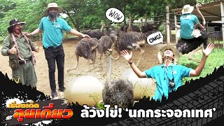 เรื่องเด็ดลุยเดี่ยว | บุกรังล้วงไข่นกกระจอกเทศ จ.ราชบุรี | ข่าวเที่ยงอมรินทร์ | 4 ส.ค.65