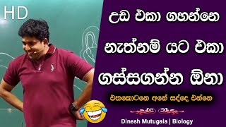 අම්බෝ මෙහමත් සද්ද ඇහෙනවද 😂 | Dinesh Muthugala | #muthugalasir #dineshmuthugala