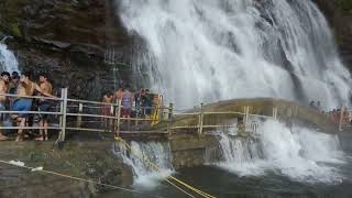 Courtallam main falls live today | 31/08/22 | Blocked deep places due to rain 🌧️