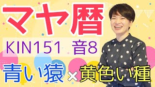 マヤ暦【KIN 151】青い猿 黄色い種 音8 開運ポイント