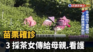 苗栗確診+3 採茶女傳給母親.看護－民視新聞