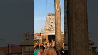 Sri Veera ragahava swamy temple entrance 🙏 Thiruvalluvar heavy crowd ☺️#shorts #perumal #govinda