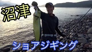 沼津エリアでショアジギング！！