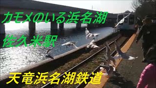 天竜浜名湖鉄道に乗ってカモメのいる浜名湖佐久米駅へ