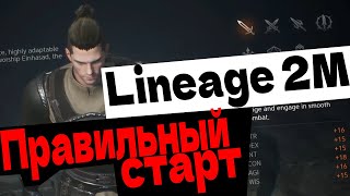 Lineage 2M ПРАВИЛЬНЫЙ СТАРТ КАК ПРАВИЛЬНО НАЧАТЬ ИГРАТЬ В L2M НА РЕЛИЗЕ В РОССИИ ГАЙД