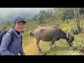 trekking chinh phục fansipan 2n1Đ phần 1 sapa local hướng giáy sa pa