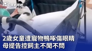 2歲女童遭寵物鴨啄傷眼睛 母提告控飼主不聞不問｜20240518 公視晚間新聞