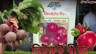 বিটরুট বীজ // সিজনের শুরুতে সেরা জাতের হাইব্রিড Beetroot seeds // সুপারফুড বিটরুট