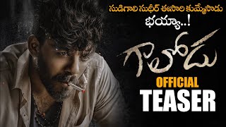 Sudhigaali Sudheer Gaalodu Movie Official Teaser || 2021 Latest Telugu Trailers || NS