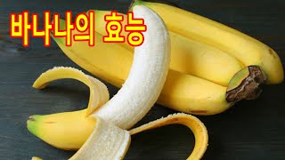 바나나의 효능 10가지