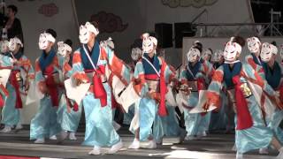 2015高知よさこい本祭1日目 俵屋グループ 中央公園