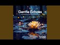 Echoing Light