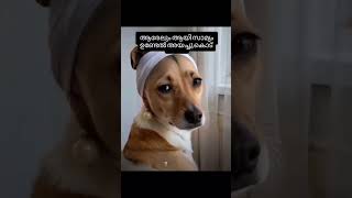 ഈ റീൽ ചെയ്തവർ ഒന്ന് സൂക്ഷിക്കുക 🤣🤣🤣🤣👌🏻#funny#shortsfeeds #shorts 😁🤣😅