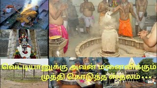 மனித உடலை எரித்து அந்த சாம்பலால் அபிஷேகம்#check description#