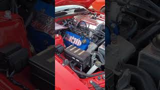 800HP Supercharged Mustang! | Wild Horse Car Show