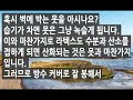 천연라텍스매트리스의 색깔 비교