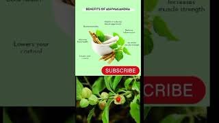 Natural benefits of Ashwagandha #ashwagandha #ashwagandhakefayde