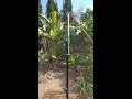 homebrew vertical antenna 40m band by yc2yiz