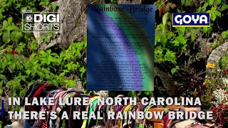 N.C. woman builds Rainbow Bridge for those to remember pets who have crossed over