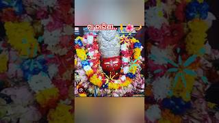 ମାଆ ତାରିଣୀ ଭଜନ🙏🌺🪔#ଓଡ଼ିଆ ଭଜନ#ghatagaon#tarinimaa#shorts#viral#youtubeshorts#odia#maatarini#short🙏🙏