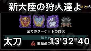 [MHWI] 新大陸の狩人達よ 太刀 13'32''40 不屈無し