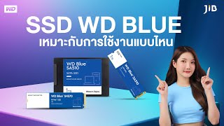 SSD WD Blue เหมาะกับการใช้งานแบบไหน | JIB Review EP.225