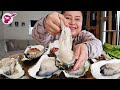 HUGE Danish oysters 🇩🇰🇩🇰🇩🇰 l Yainang