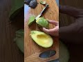 homemade nacho with guacamole