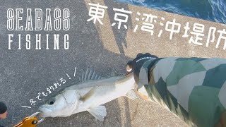 【Seabass】冬でも釣れる！東京湾沖堤防シーバスゲーム【Saltwater Game】