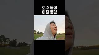 호주 농장에서의 첫날 아침 #여행 #크리스트립