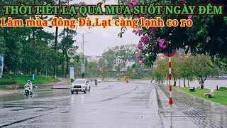 THỜI TIẾT LẠ QUÁ ĐÀ LẠT MƯA DẦM CẢ NGÀY ĐÊM, TRỜI LẠNH CO RO MÙA ĐÔNG