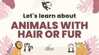 Animals With Hair or Fur