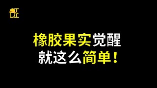 【阿旺】橡胶果实觉醒就这么简单！粉丝怎么看第1期！