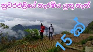 Nuwara eliya travel places | nuwara eliya | nuwara eliya travel vlog