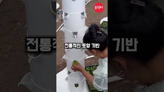 흙없이 농작물 키우는 최신 기술 도입한 스마트 농장