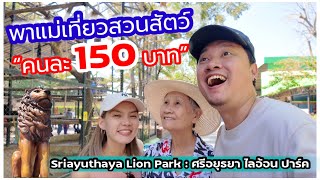 พาแม่เที่ยวสวนสัตว์ คนละ 150 บาท : ศรีอยุธยาไลอ้อนปาร์ค (Sriayuthaya Lion Park)