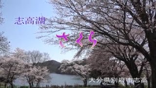 さくら　志高湖