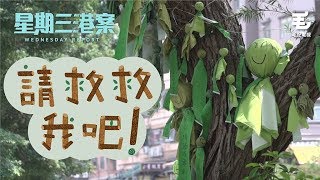 《星期三港案》 20/6 請救救我吧！