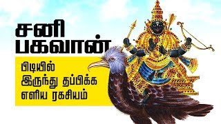 How to Worship Lord Sanishwar - Saneeswara Pooja | சனி பகவானை வழிபடும் முறை | Sani Bhagavan