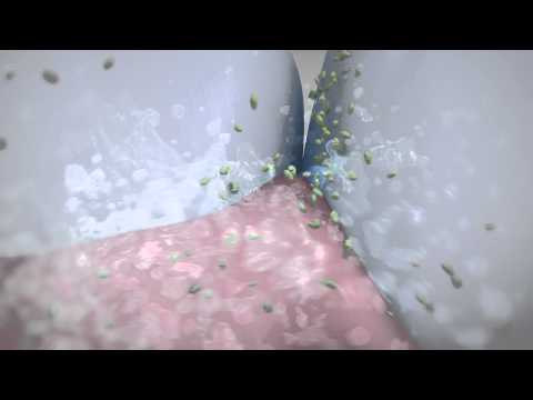 What is the main function of saliva?