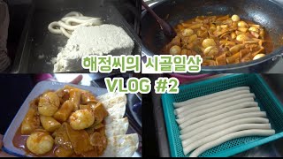 시골밥상 | 갓 나온 따끈따끈한 가래떡으로 떡볶이(중앙떡볶이st) 해먹기, 가래떡 오래 보관하는 방법을 소개하는 해정씨의 하루(VLOG #2)