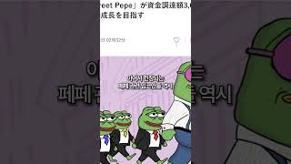 페페[PEPE] 6000% 대상승 원인은 일론머스크 #페페코인 #pepe #pepecoin #밈코인