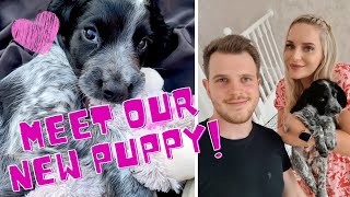 MEET OUR NEW PUPPY! First 24 Hours With Our Cocker Spaniel | Vlog